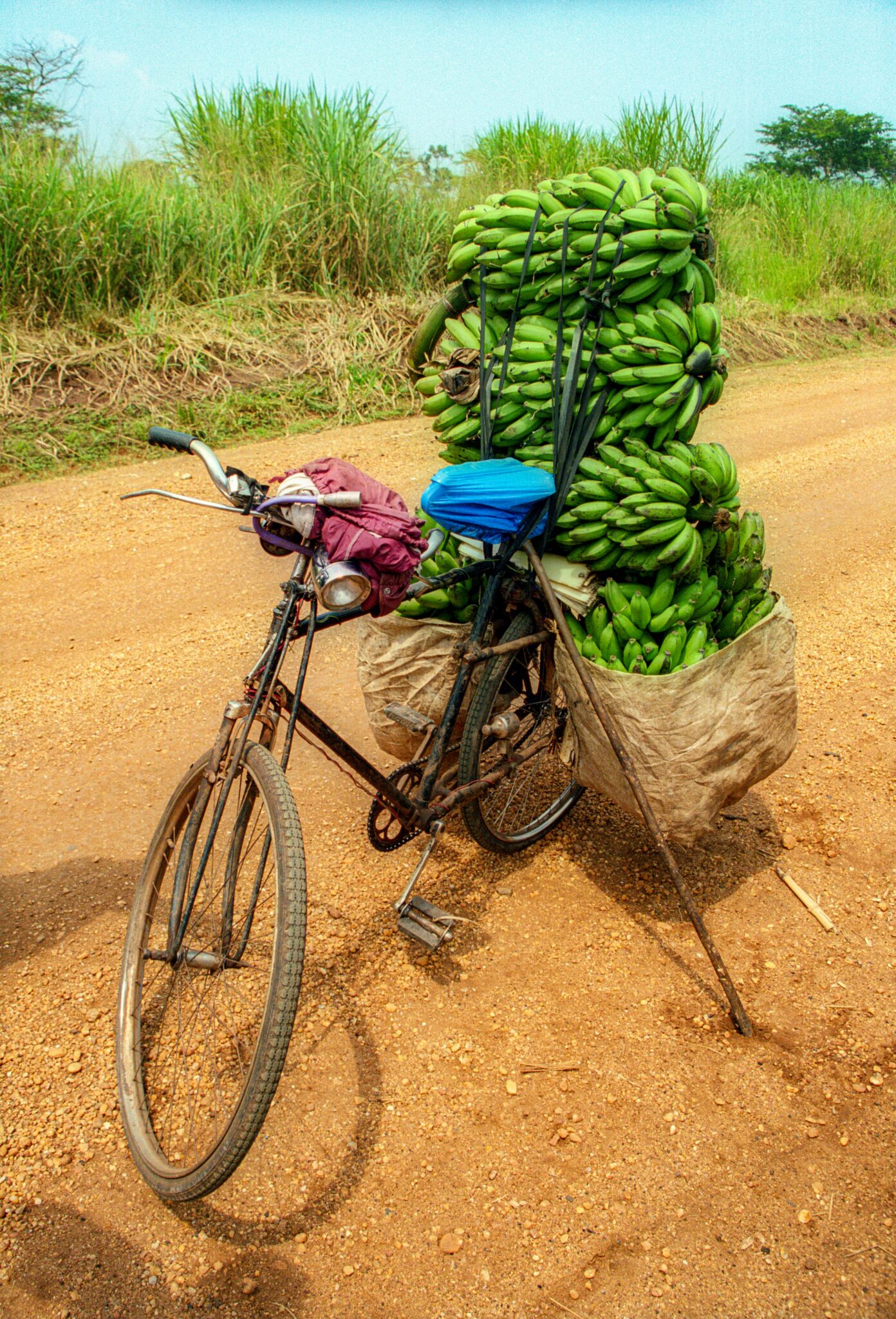 A bicycle on a dirt road is heavily loaded with large bunches of green bananas, stacked high and secured on both sides.