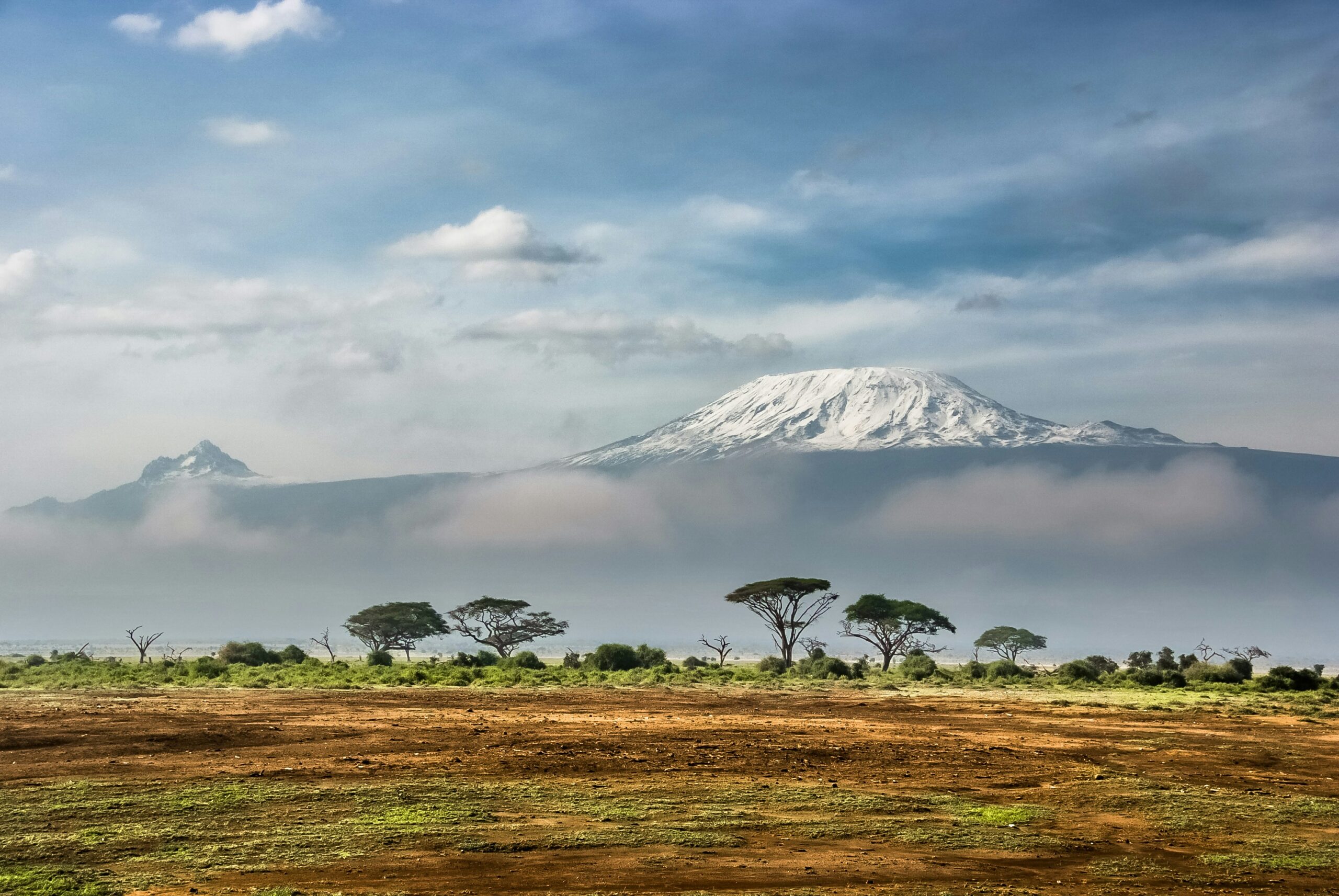 Snow-capped mountain rising above a flat savannah with scattered acacia trees and low-lying mist in the foreground.