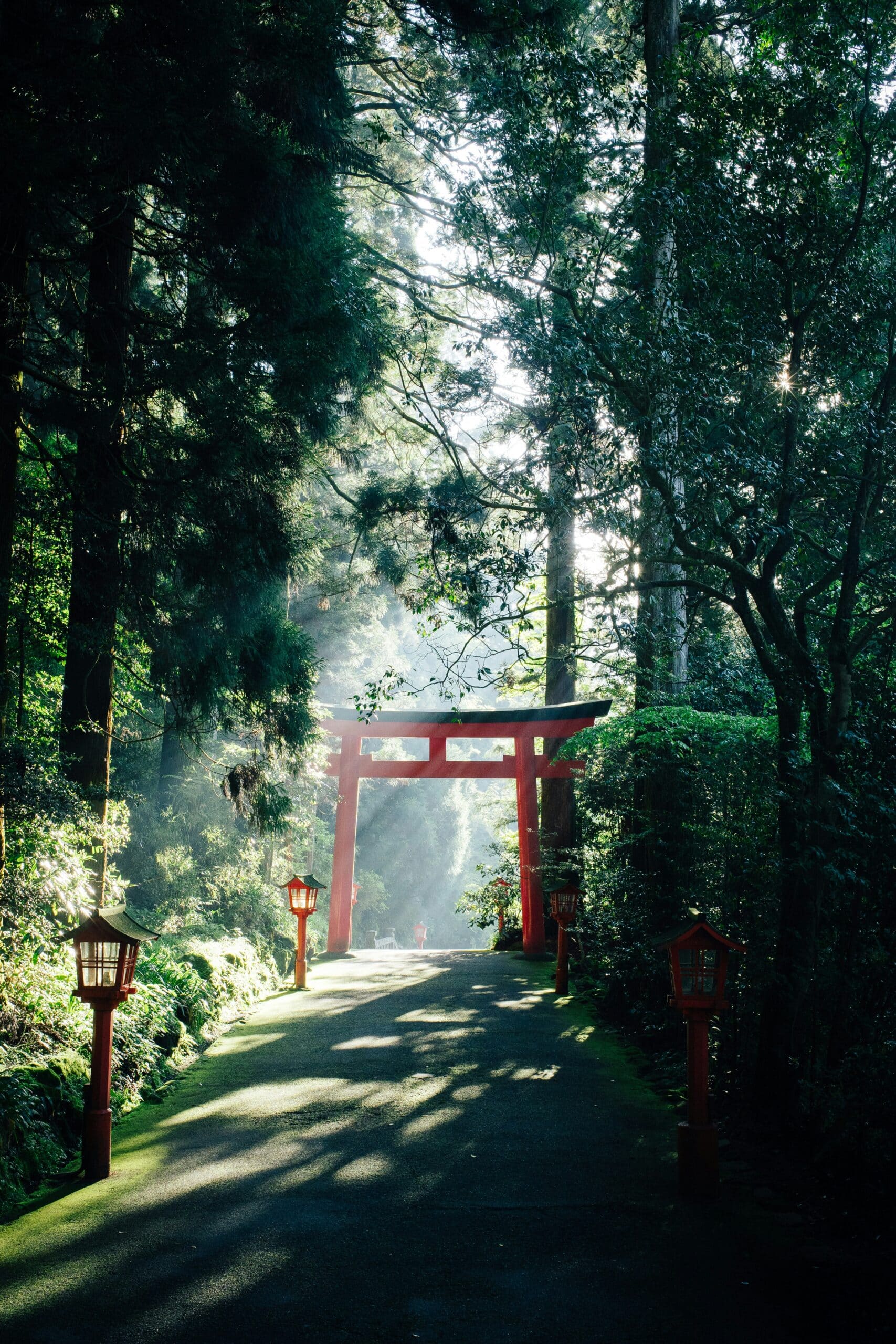 Sunlit forest path with a bright red torii gate and stone lanterns along the walkway.